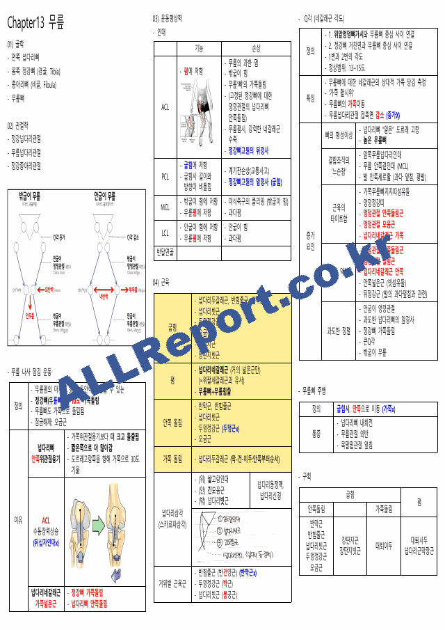 뉴만(해부학,운동학) 정리본(카셉시험) (9 페이지)